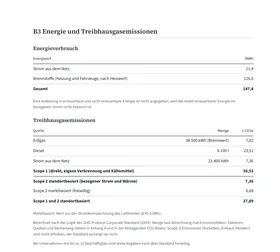 Energieverbrauch und Tabelle der Treibhausgase aus einem VSME-Musterbericht: Erdgas, Diesel und Strom mit Menge und Tonnen CO2e, Scope 1 30,53 t, Scope 2 standortbasiert 7,36 t, zusammen 37,89 t